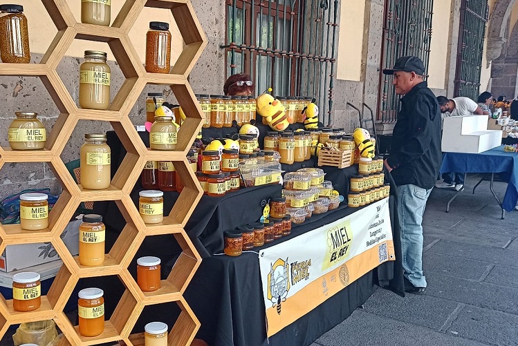 ENTREVISTAS. Para el estudio se consultó a 30 apicultores del estado. (Foto: Nancy Ángel) 